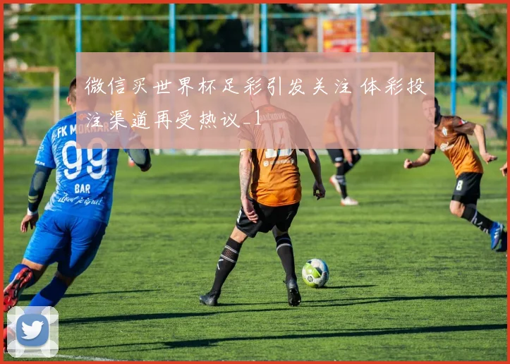 微信买世界杯足彩引发关注 体彩投注渠道再受热议_1