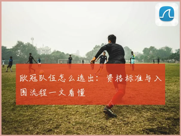 欧冠队伍怎么选出：资格标准与入围流程一文看懂