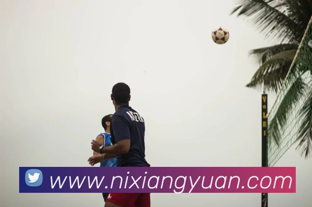 爱游戏官网ayxAPP 封面图